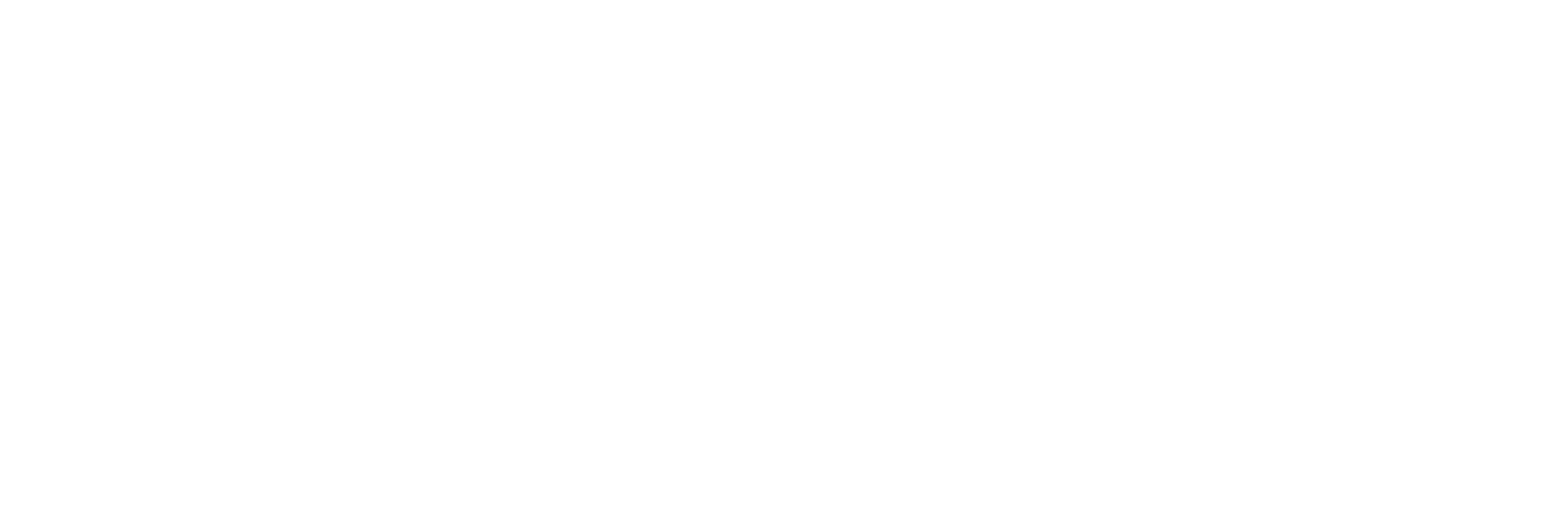 Logo Profeno blanc